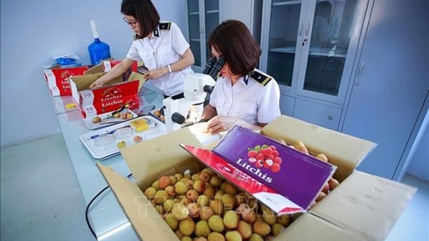 Irradiation centre to open in the north to serve fruit export: minister